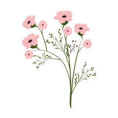 pink floral natural and beautiful flowers with green leaves. vector illustration