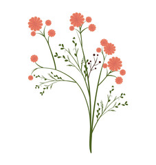 pink floral natural and beautiful flowers with green leaves. vector illustration