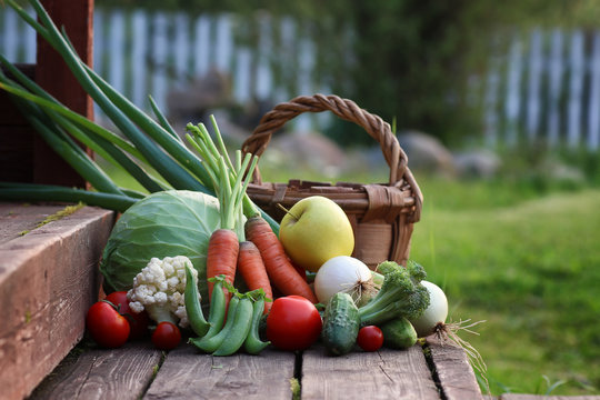 fresh vegetable harvest nature outdoor