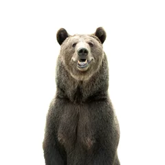 Fotobehang Big brown bear isolated on white background © stativius