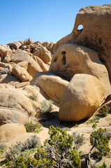 Joshua Tree National Park