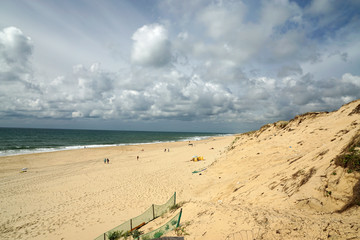 plage et dunes de Contis