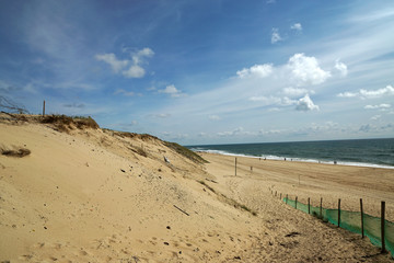 Fototapeta na wymiar plage et dunes de Contis