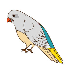 bird cartoon colorful animal. side view. vector illustration 