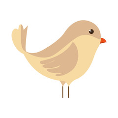 bird cartoon colorful animal. side view. vector illustration 