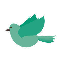 green bird flying cartoon colorful animal. side view. vector illustration 