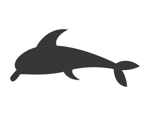 dolphyn cute fish isolated vector illustration design