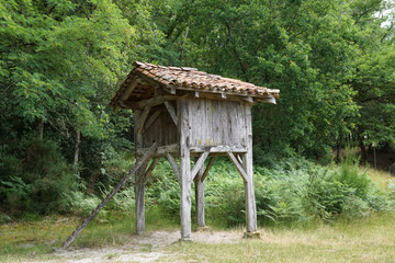 poulailler perché © JC DRAPIER