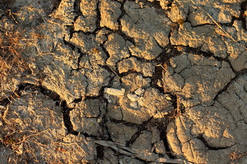 brown ground texture with cracks