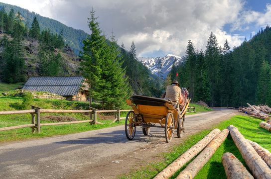 Horse carriage ride in beautiful mountain valley in Western Tatra, Poland.