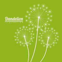 White dandelion icon. Summer seed plant and flower theme. Colorful design. Green background. Vector illustration