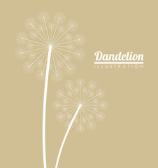 White dandelion icon. Summer seed plant and flower theme. Colorful design. Pastel background. Vector illustration