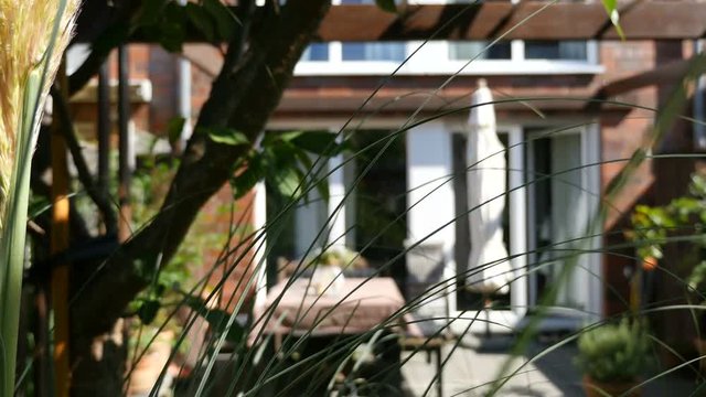 Garden porch in the summer, pan right and focus shift from pampas grass to patio terrace with table and dirnks