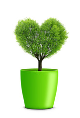 Obraz premium Tree in the shape heart growing in green pot isolated on white background