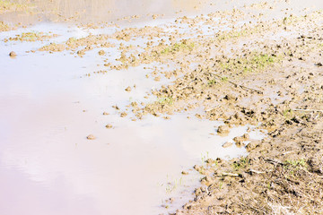 Clay flooded fields after torrential rain