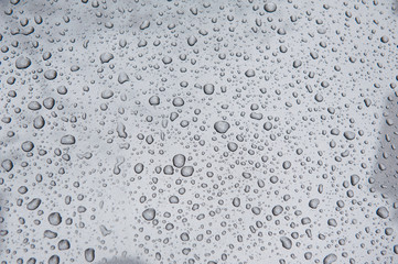 drops of water-repellent surface in black & white