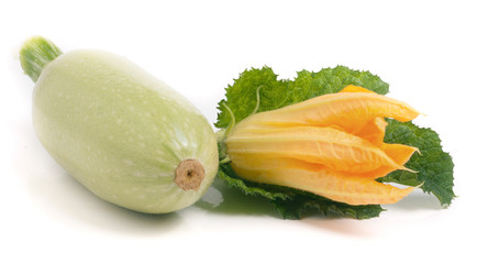 zucchini with flower and leaf isolated on white background