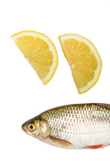 Fresh fish with lemon slices isolated on white