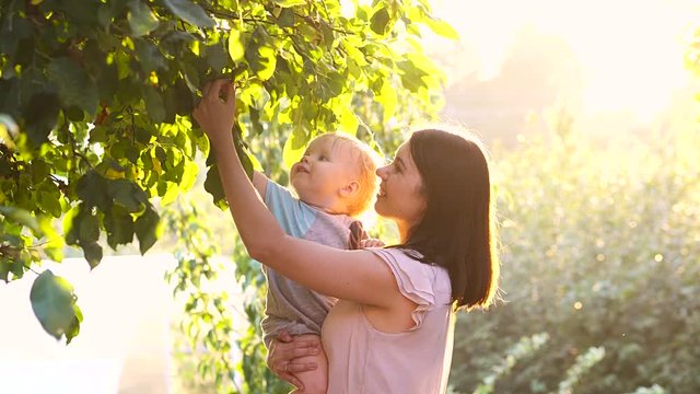 Happy young mother playing with her little baby son on sunshine warm autumn or summer day. Beautiful sunset light in the apple garden or in the park. Happy family concept 4k