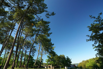 Pins - Mimizan - promenade fleurie © JC DRAPIER