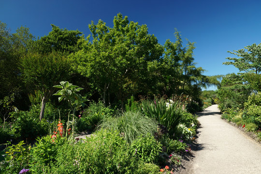 chemin de la promenade fleurie - Mimizan