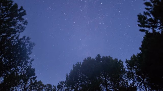 The stars and the Milky Way on the Curonian Spit. Timelapse.
