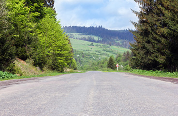 Fototapeta na wymiar asphalt road through mountains with fir-trees