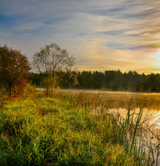 Autumn foggy morning