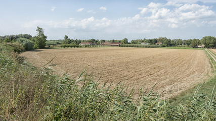 Obraz premium Detail of a cultivated field