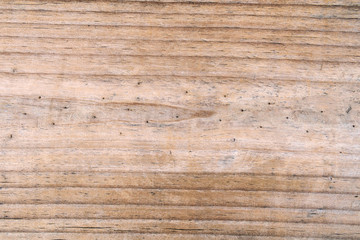 Fototapeta premium Wood background / Close up texture of wood background.