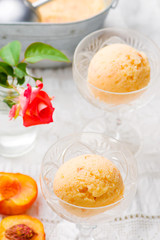  frozen peach and honey yogurt