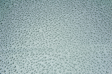 drops of water-repellent surface in black & white