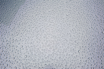 drops of water-repellent surface in black & white