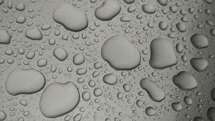 drops of water-repellent surface in black & white