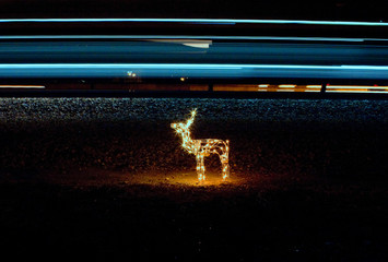 Reindeer Games - Holiday Lights and a Train © Hector Romero