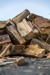 firewood for the winter
