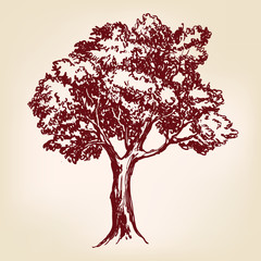 Tree hand drawn vector llustration sketch