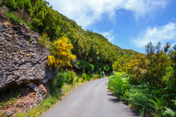 Route in  Laurel Forest to Levada Risco, Madeira Island, Portugal