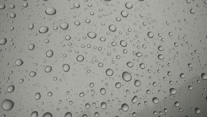 drops of water-repellent surface in black & white