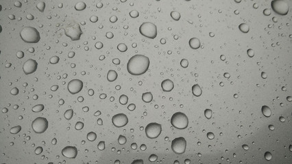 drops of water-repellent surface in black & white