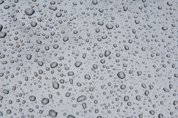 drops of water-repellent surface in black & white

