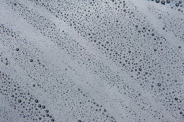 drops of water-repellent surface in black & white
