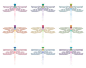 vector abstract dragonfly symbols