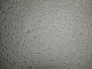 drops of water-repellent surface in black & white