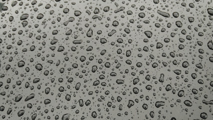 drops of water-repellent surface in black & white