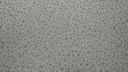 drops of water-repellent surface in black & white