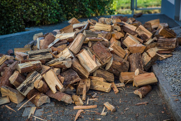 firewood for the winter