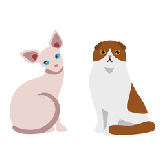 Cat cartoon style vector silhouette. Cute domestic cat animal sitting. Cartoon cat young adorable tail symbol playful. Cartoon funny domestic pussy kitty cat sit character