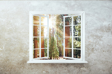 Fototapety  Białe okno z widokiem na las