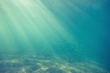 Underwater shot with sunrays and fish in deep tropical sea